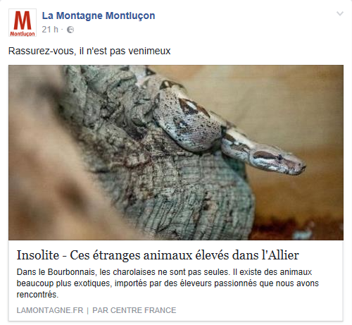 Ces étranges animaux élevés dans l'Allier